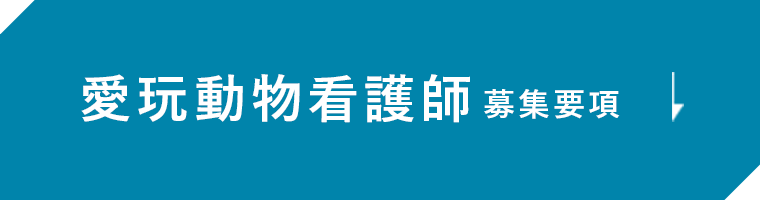 愛玩動物看護師