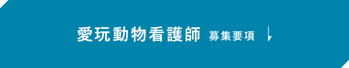 愛玩動物看護師